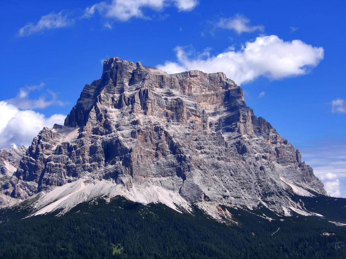 Hotel Belvedere Dolomiti Pieve di Cadore Dış mekan fotoğraf