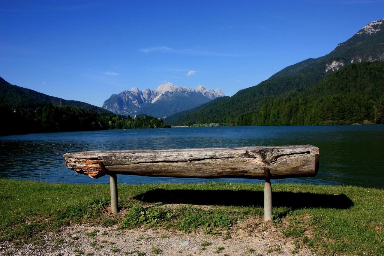 Hotel Belvedere Dolomiti Pieve di Cadore Dış mekan fotoğraf