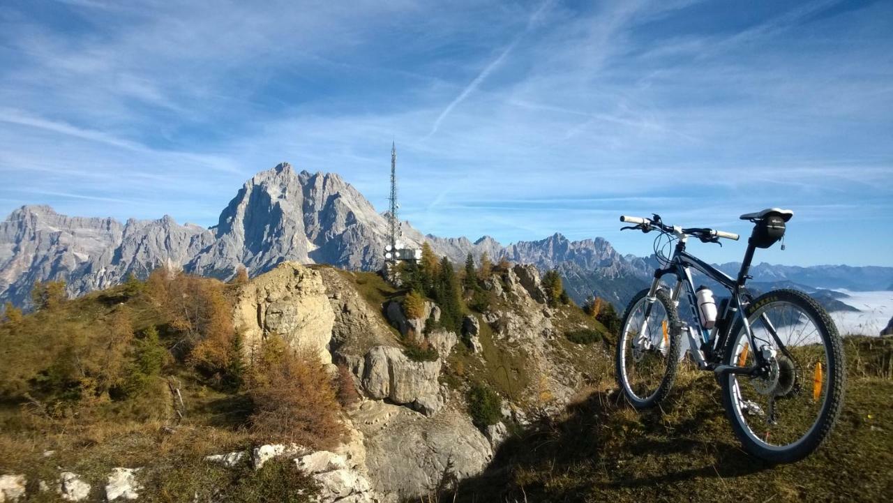 Hotel Belvedere Dolomiti Pieve di Cadore Dış mekan fotoğraf